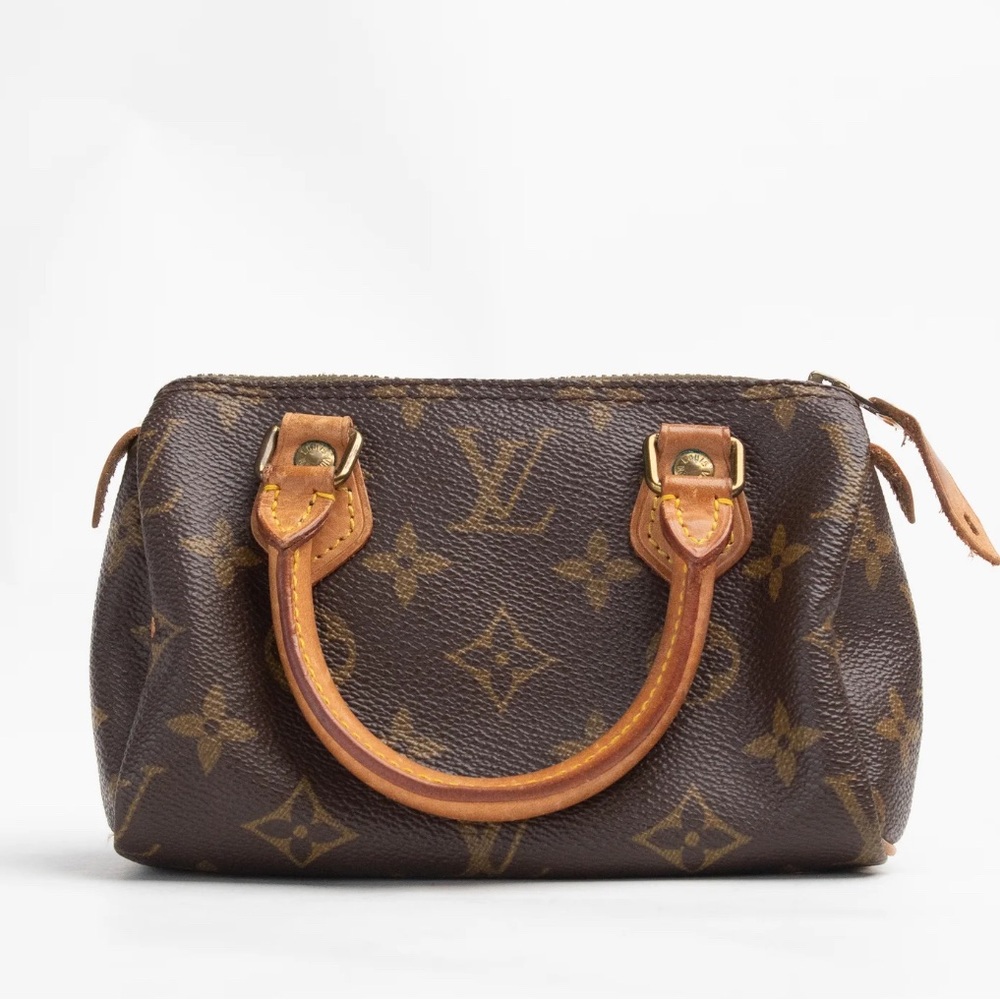 Louis Vuitton speedy nano